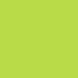 CamKix Bluetooth Camera Shutter Remote Control for Smartphones – Create Amazing Photos and Selfies (Bluetooth Remote, Green)