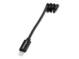 StarTech.com 1-Feet Coiled Black Apple 8-Pin Lightning to USB Cable for iPhone iPod iPad 3/4 (USBCLT30CMB)