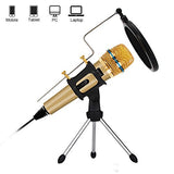 Professional Condenser Microphone Recording with Stand for PC Computer iphone Phone Android Ipad Podcasting, Online Chatting Mini Microphones by XIAOKOA