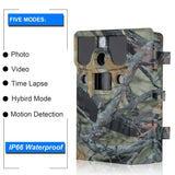 LESHP Game and Trail Camera 12MP 1080P HD With Time Lapse 65ft 120¡ã Wide Angle Infrared Night Vision 42pcs IR LEDs Waterproof IP66 2.4" LCD Screen Scouting Camera Deer Camera Digital Surveillance